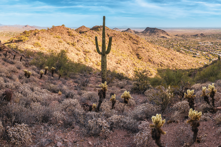 A closer look at McDowell Mountain Ranch's high-end neighborhoods