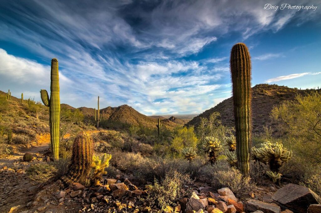 McDowell Sonoran Preserve Trails